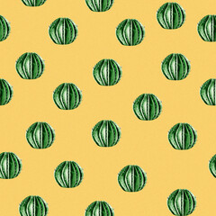 Cacti on the sand watercolor seamless pattern. Template for decorating designs and illustrations.	
