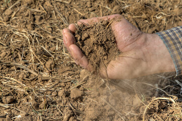 A farmer examines his dry, dusty soil in his hand. Already in March it hardly rained and the fields have dried up. The climate change is becoming more and more noticeable in Germany. - obrazy, fototapety, plakaty