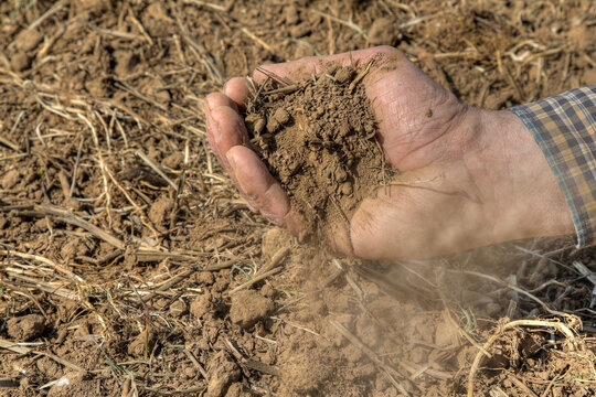 A farmer examines his dry, dusty soil in his hand. Already in March it hardly rained and the fields have dried up. The climate change is becoming more and more noticeable in Germany.