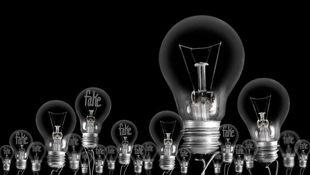 Light bulbs going from dark to light with fibers in a shape of Fake and Fact concept words isolated on black background. High quality 4k video.