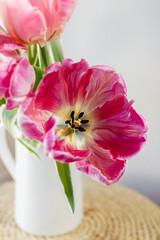 Pink open tulip flower blooming bouquet with green fresh stems in a white porcelain jar on a white wall background. Vibrant colourful botany floral home decor idea.