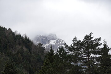 Snowy mountains with trees and fog in the background