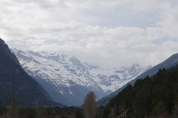 Snow-capped mountains with trees