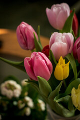 Naklejka premium tulipany