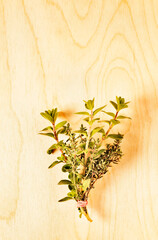 Bunch of fresh thyme and origanum