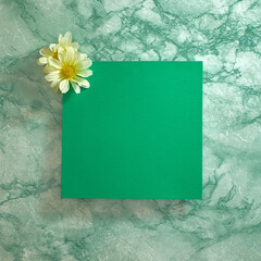 Blank green card and two white flowers on a green white marble background. Text space. Top view. Minimal style.