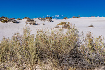The dunes in White Sands National Park