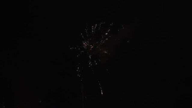 Fireworks exploding in the black night. Close up.
