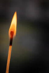 Single Match Stick on Fire