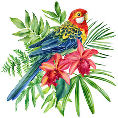 Parrot and palm leaves on isolated white background, watercolor painting Jungle illustration