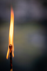 Single Match Stick Flame