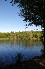 Steinbrücker Teich bei Darmstadt