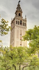 Fototapeta na wymiar Cathédrale Notre-Dame du Siège de Séville et la giralda en Andalousie