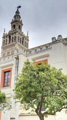 Cathédrale Notre-Dame du Siège de Séville et la giralda en Andalousie