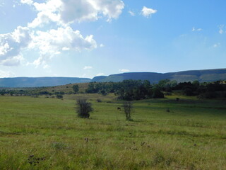 Beautiful scenic landscape with grass fields, bushes, scattered trees, mountains, hilltops, blue sky and white puffy scattered clouds. In South Africa, North West.