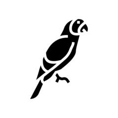 parrot tropical bird glyph icon vector. parrot tropical bird sign. isolated contour symbol black illustration
