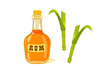 Bottle of rum with sugar cane stems and leaves on white background.