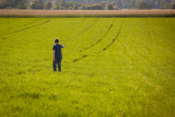 Chłopiec na polu - patrzeć w przyszłość - droga naprzód - perspektywa przyszłości - na wsi - pole - wzrost - zboże - natura - młode pokolenie - obrazy, fototapety, plakaty