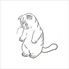 Cute Cat Coloring page for kids