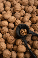 Vertical close up of ripe walnuts and nutcracker. Healthy concept, organic production, food useful for human brain. Walnut background pattern texture. Selective focus, shallow depth of field.