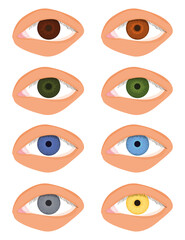set of eyes with different color of iris isolated on white background. main eye colors: black, brown, green, light green, dark blue, blue, gray, yellow. iris of the eye. flat vector.