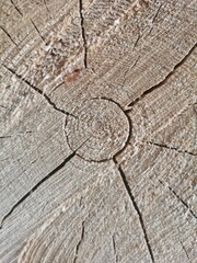 old wood texture
