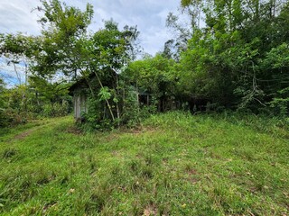 casa de madeira abondonada