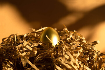 A golden egg in a nest made of wrapping paper . The concept of prosperity , investment , profit ,...