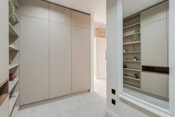 wardrobe and shelves with decor in the room in a modern style High quality photo