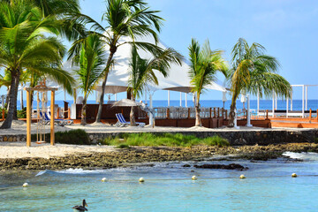 Bayahibe, la Romana, Dominican Republic- Beach on the Caribbean shore and palm trees