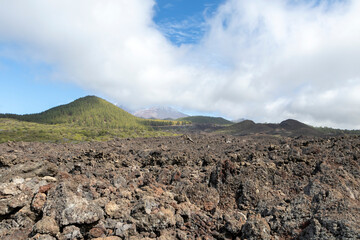 Black lava fields and green pine forest of the Chinyero and Teide volcanoes with bright shining sun and blue sky