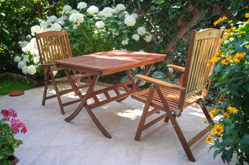 Nice poppy flowers in the sunset