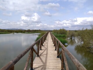 Laguna Fuente de Piedra 