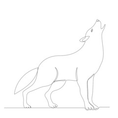 wolf drawing in one continuous line, isolated vector