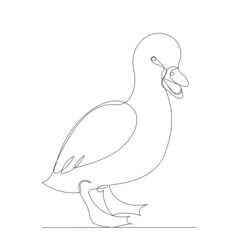 duckling drawing in one continuous line, isolated vector