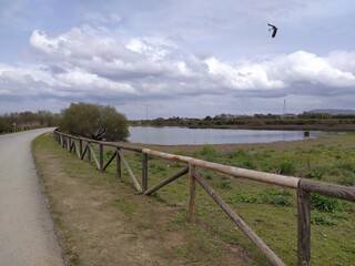 Laguna en el campo