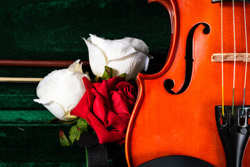Violín hermoso apoyado en su funda, con rosas blancas y rojas