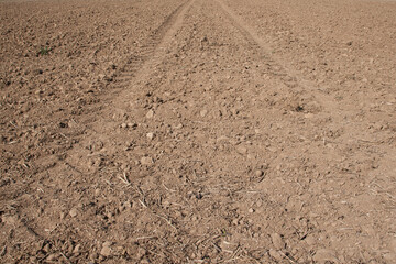 Only the footprints of the tractor tires can be seen on the parched soil, and there is no sign of any growth from the young seed. The climate change is becoming more and more noticeable in Germany.