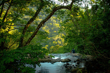Naklejka premium river in the forest