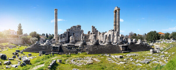 Wide angle photo of temple of apollo in didyma ancient city. Historical tourism concept. - obrazy, fototapety, plakaty