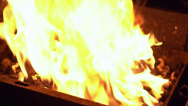 Spicy Chicken Wings Being Grilled Over Bright Glowing Coals of Night Time Broasting On Fire. Night Party Barbecue. Outdoor Cooking. Cook Prepares Oriental Dish In Kitchen. Junk Food, Healthy Lifestyle