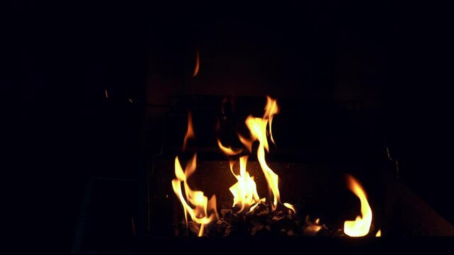Spicy Chicken Wings Being Grilled Over Bright Glowing Coals of Night Time Broasting On Fire. Night Party Barbecue. Outdoor Cooking. Cook Prepares Oriental Dish In Kitchen. Junk Food, Healthy Lifestyle