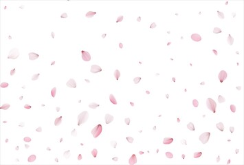 Sakura petals background. Cherry petals backdrop