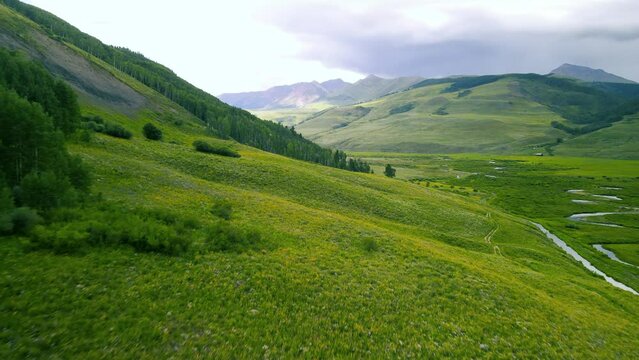 Mountain slope with wildflowers around Brush Creek valley near Crested Butte in Colorado.