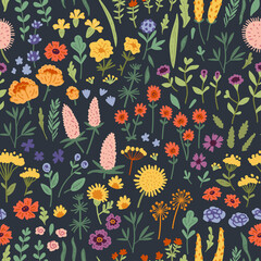 Fototapeta na wymiar Vector seamless pattern with hand drawn wild plants, herbs and flowers, colorful botanical illustration, floral elements, hand drawn repeating background. Wild meadow herbs, flowering flowers