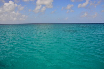 Obraz premium Green, turquoise water of the sea, ocean near Saona Island, Caribbean coast, Dominican Republic