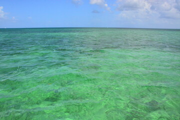 Green, turquoise water of the sea, ocean near Saona Island, Caribbean coast, Dominican Republic