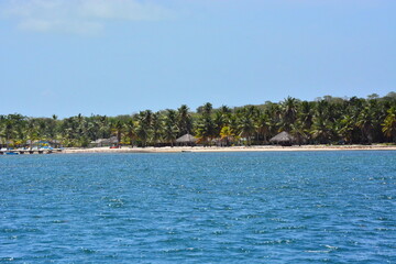 Saona Island, Dominican Republic - near Isla Saona, Caribbean coast