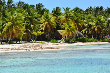 Saona Island, Dominican Republic - near Isla Saona, Caribbean coast