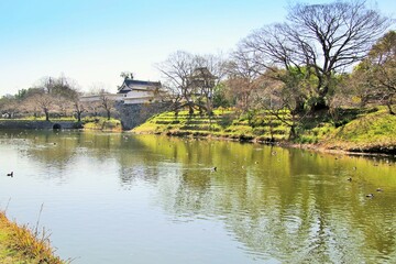 Fototapeta premium 福岡市の福岡城潮見櫓